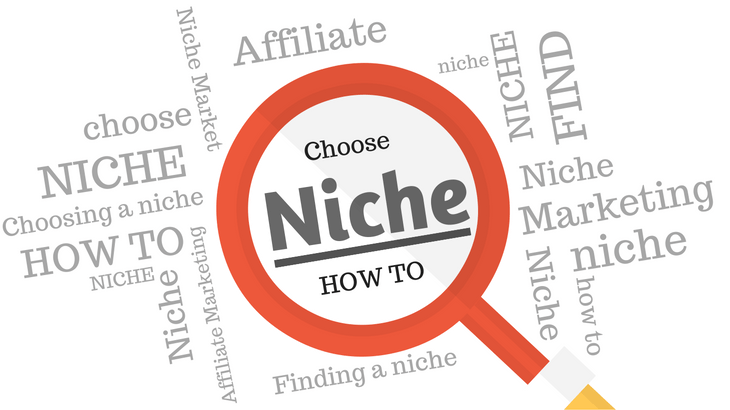 choose niche